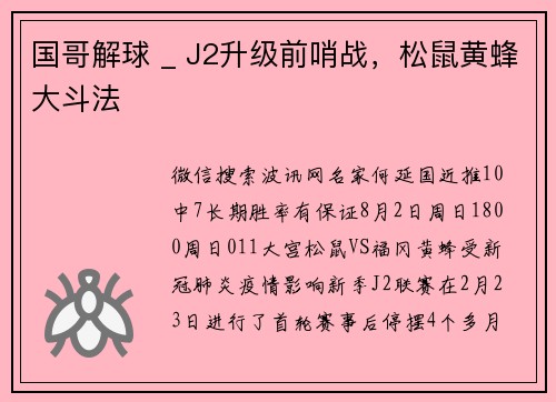 国哥解球 _ J2升级前哨战，松鼠黄蜂大斗法