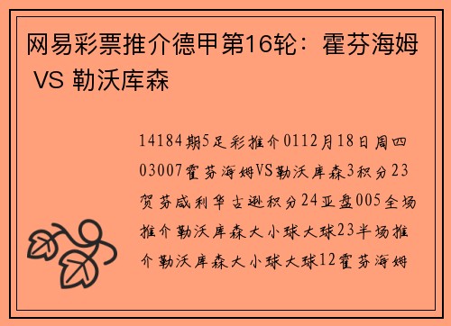 网易彩票推介德甲第16轮：霍芬海姆 VS 勒沃库森